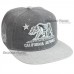 CALI Baseball Cap California Republic Bear Embroidered Snapback Hat Flat Visor  eb-67895868